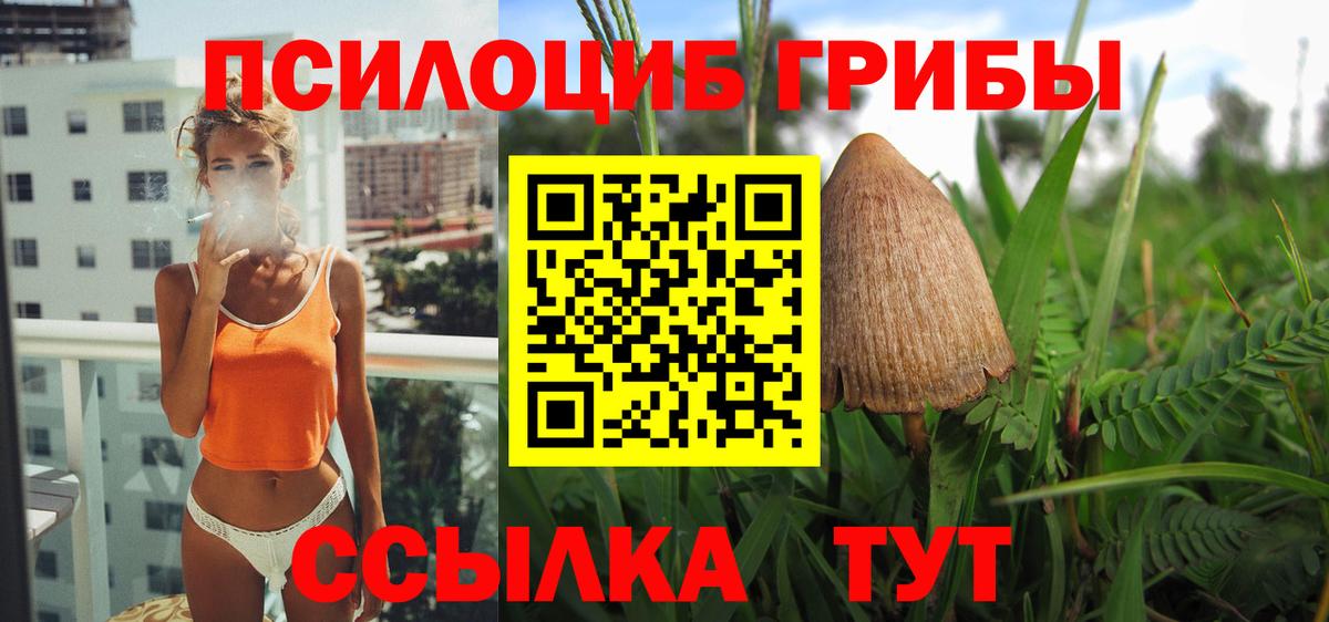 Галлюциногенные грибы Psilocybe  купить  цена  Псилоцибиновые грибы MAGIC MUSHROOMS  Тольятти  Вход с VPN 